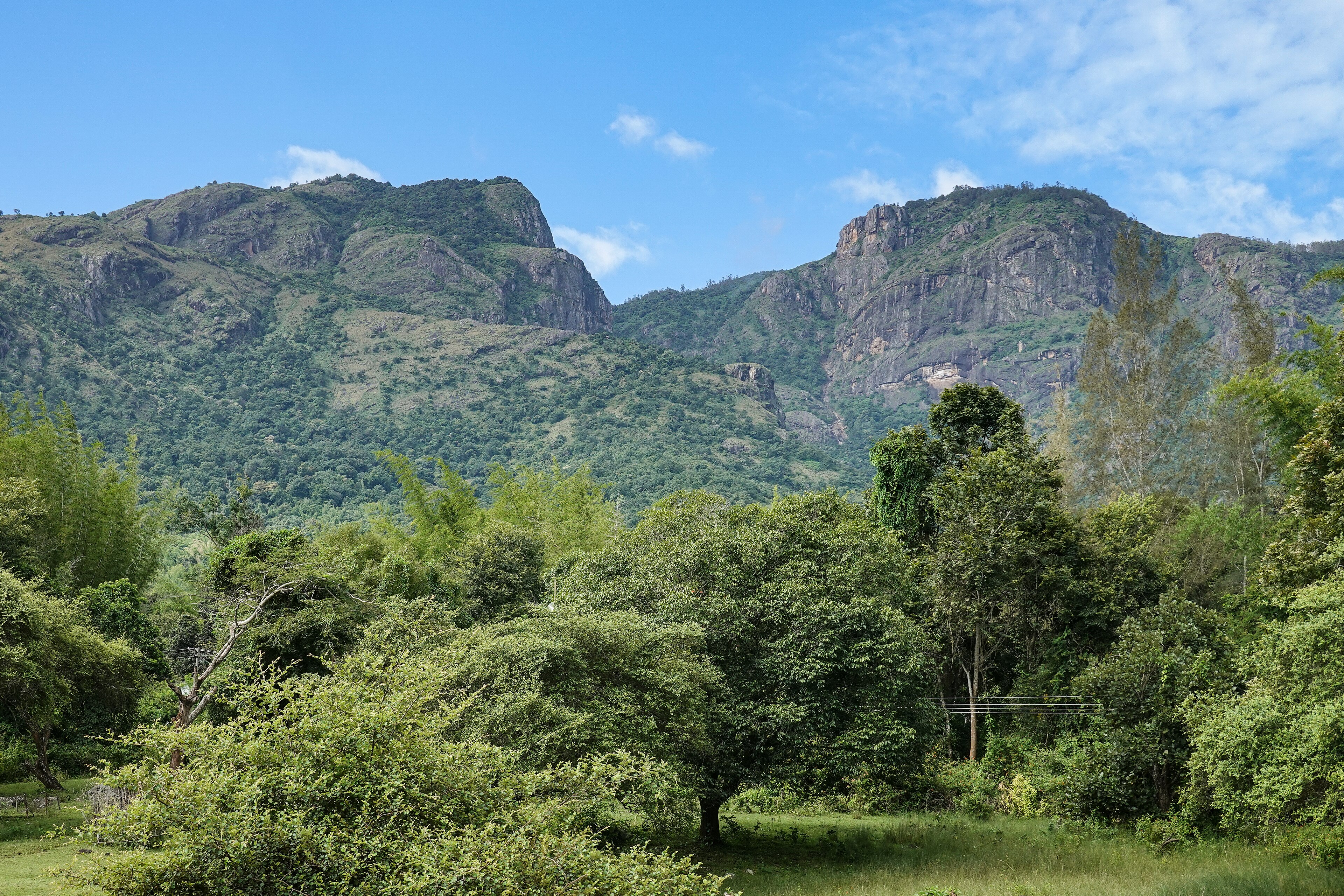 Coorg, Chikmagalur, Mysore — Coorg, Chikmagalur & Mysore — Karnataka