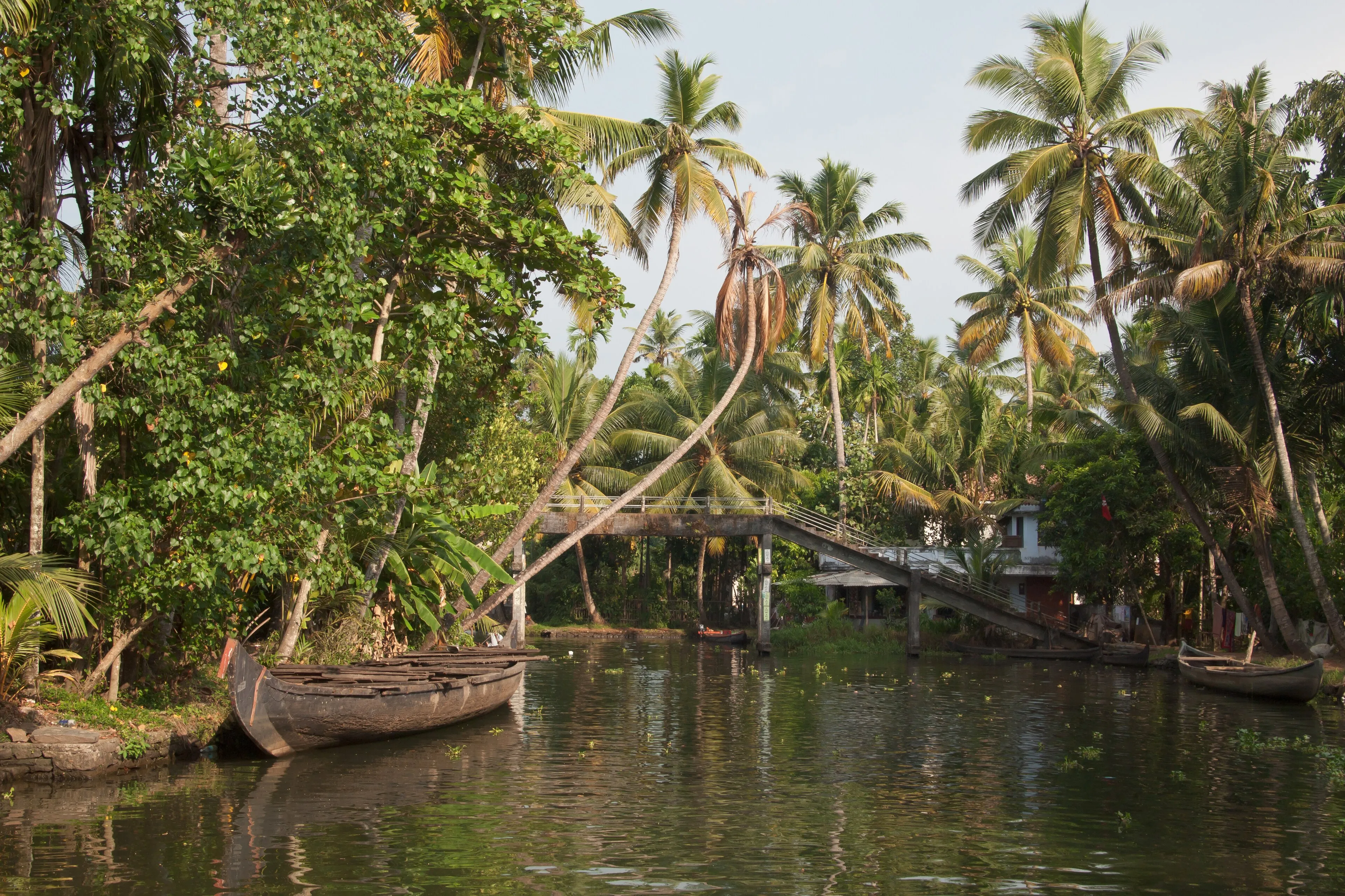 Coorg, Karnataka — Coorg — Karnataka adventure trip