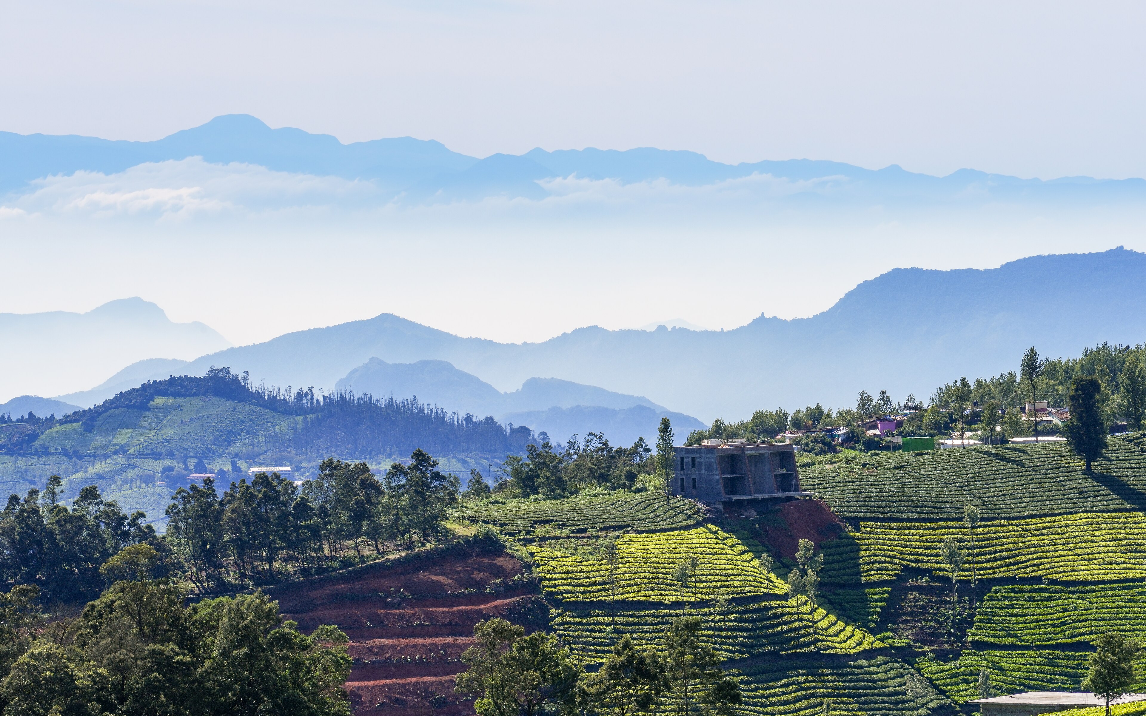 Coorg, Ooty, Coonoor — Coorg, Ooty & Coonoor — Karnataka / Tamilnadu