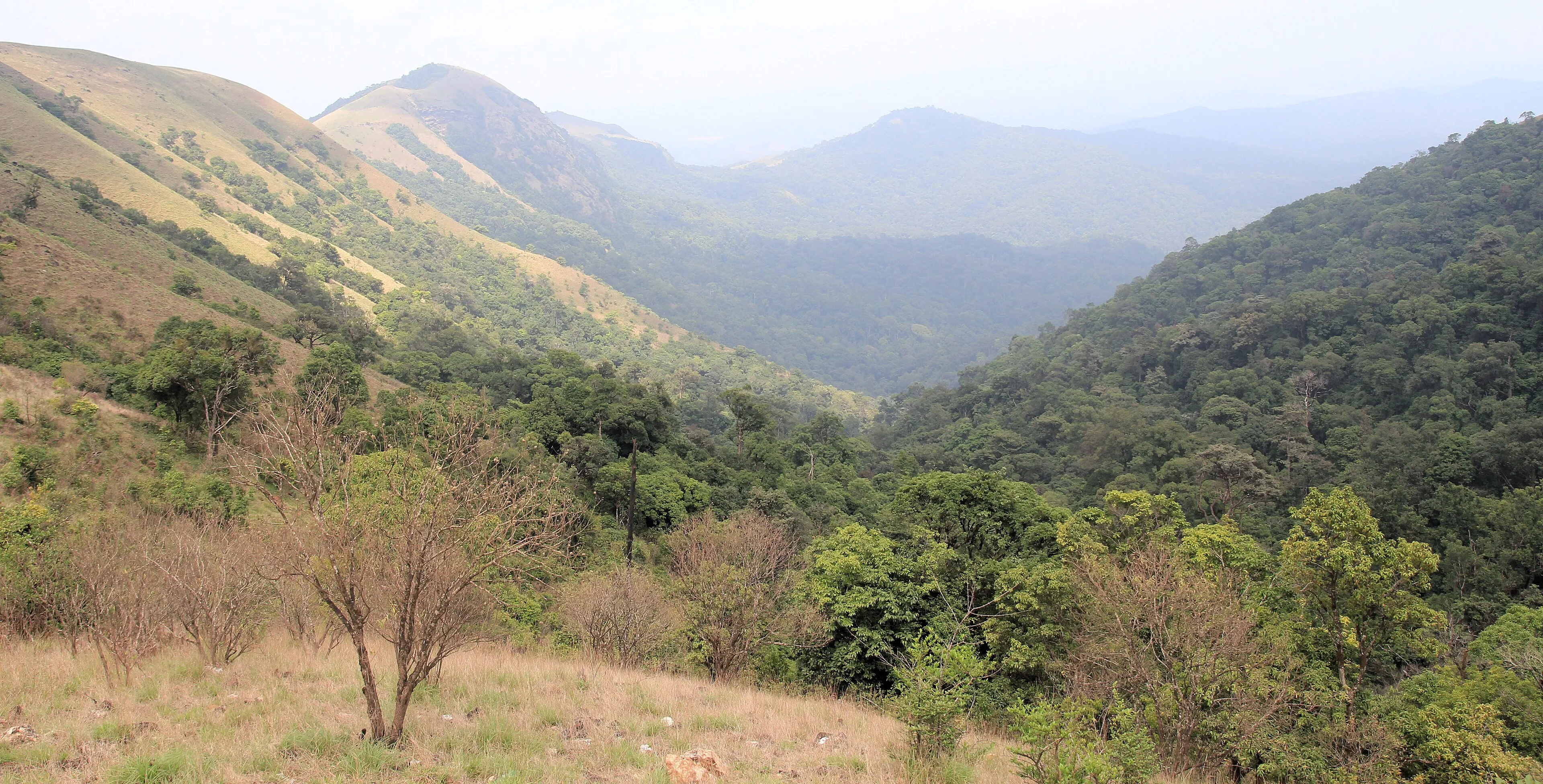 Group of trekkers on a Western Ghats ridge at sunrise
