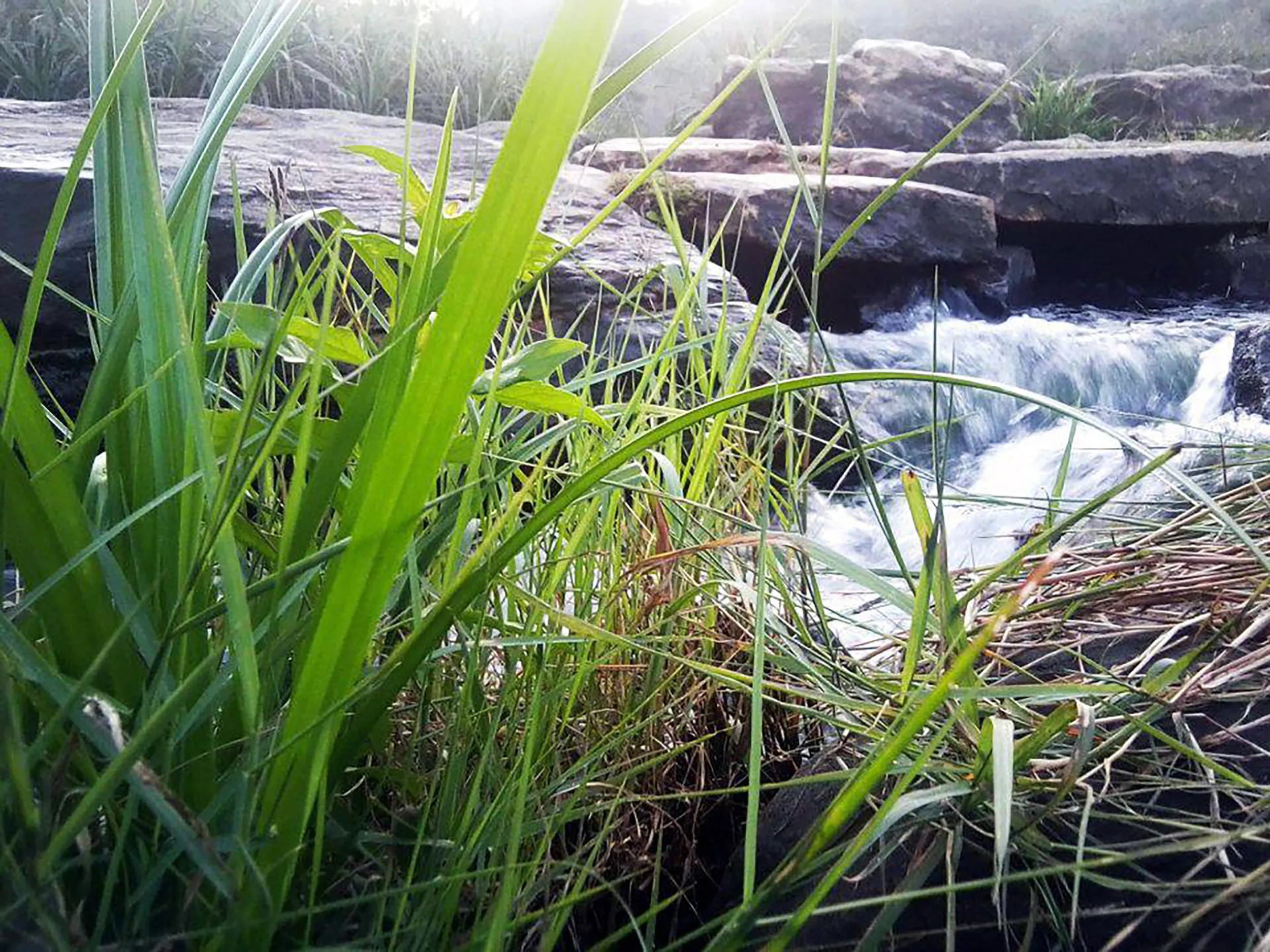 Western Ghats hills and waterfalls of Karnataka